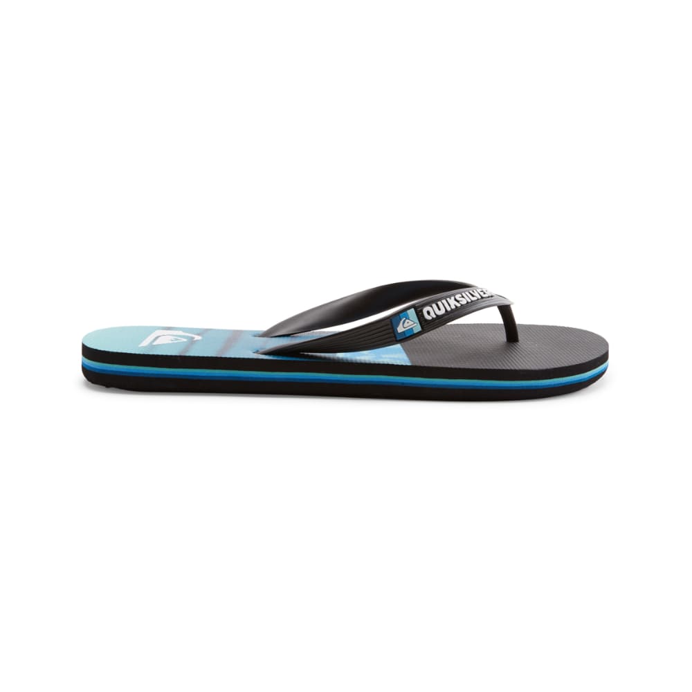 Sandalias para Hombre QUIKSILVER FLIP FLOP MOLOKAI PANEL BYJ3
