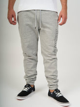 Cargar imagen en el visor de la galería, Jogger para Hombre DC SHOES CLASH SWEATPANT FP SGRH