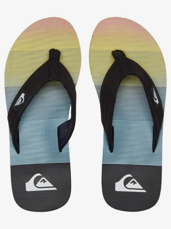 Sandalias para Hombre QUIKSILVER BEACH MOLOKAI LAYBACK BYJ4