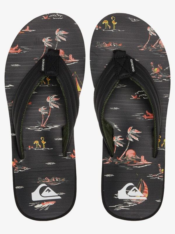 Sandalias para Hombre QUIKSILVER BEACH CARVER PRINT XKKN