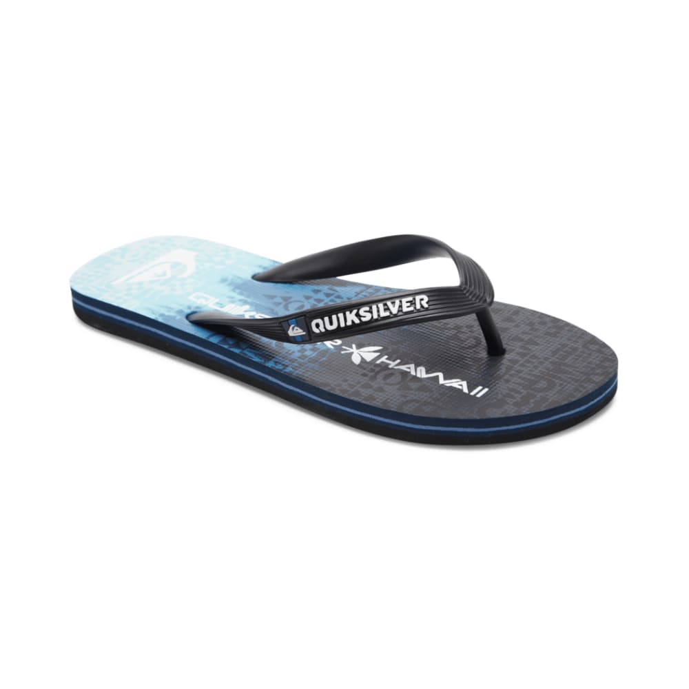 Sandalias para Hombre QUIKSILVER FLIP FLOP MOLOKAI HOME GROWN BYJ1
