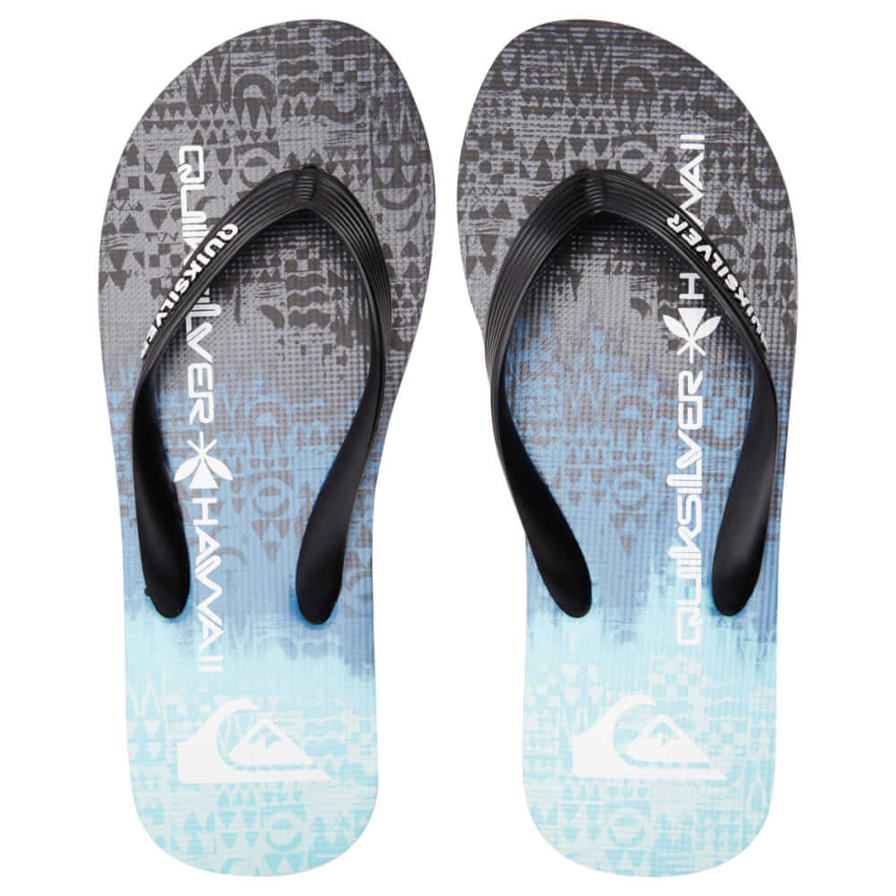 Sandalias para Hombre QUIKSILVER FLIP FLOP MOLOKAI HOME GROWN BYJ1