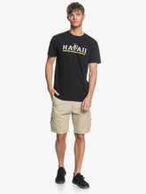 Cargar imagen en el visor de la galería, Polo para Hombre QUIKSILVER CLASSIC HI STATE ROAD KVJ0
