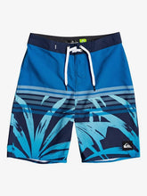 Cargar imagen en el visor de la galería, Ropa de baño para Niño QUIKSILVER BOARDSHORT EVDAYTRPICYTH18 B BDSH BYH6 8 años a más

