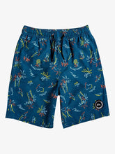 Cargar imagen en el visor de la galería, Ropa de baño para Niño QUIKSILVER VOLLEY SOUTHERN DREAM 17&quot; BYK6 8 años a más
