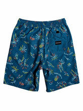 Cargar imagen en el visor de la galería, Ropa de baño para Niño QUIKSILVER VOLLEY SOUTHERN DREAM 17&quot; BYK6 8 años a más
