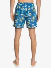 Cargar imagen en el visor de la galería, Ropa de baño para Hombre QUIKSILVER VOLLEY VCYVLY17NB M JAMV BYH6

