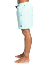 Cargar imagen en el visor de la galería, Ropa de Baño para Hombre QUIKSILVER VOLLEY EVDAYVL17 BEK0
