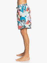 Cargar imagen en el visor de la galería, Ropa de Baño para Hombre QUIKSILVER VOLLEY MYSTSESTRVL17NB BPJ6
