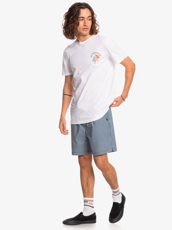 Short para Hombre QUIKSILVER CLASSIC TAXERWS BMK0