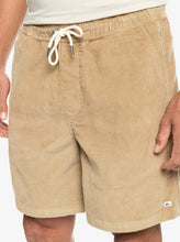 Cargar imagen en el visor de la galería, Short para Hombre QUIKSILVER SHORT TAXERCORD CKK0
