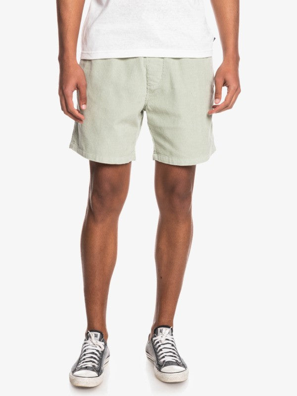 Short para Hombre QUIKSILVER SHORT TAXERCORD GFL0