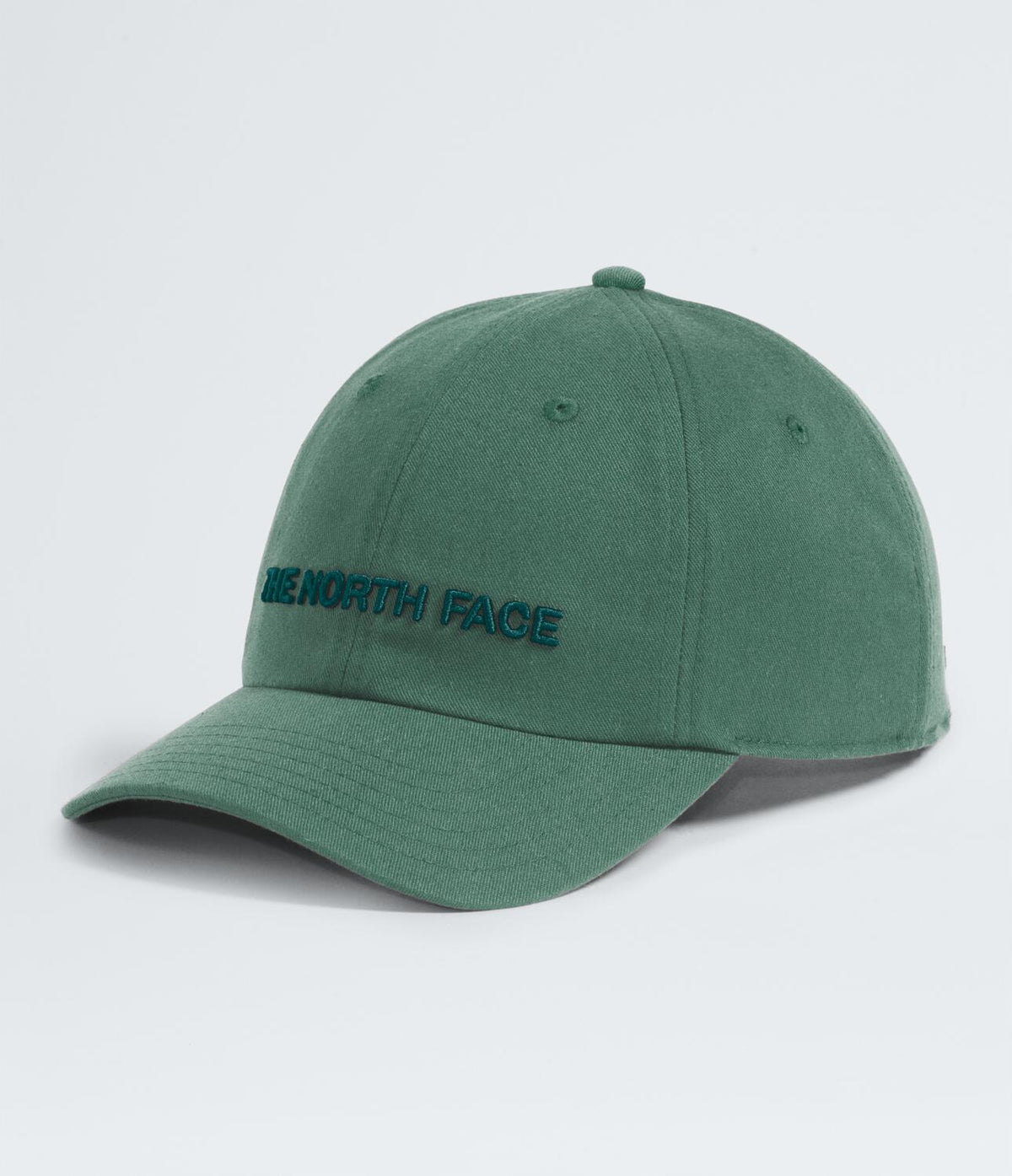 HAT para HOMBRE THE NORTH FACE ROOMY NORM HAT NF58S