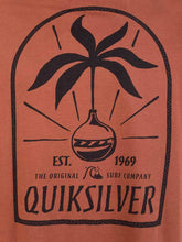 Cargar imagen en el visor de la galería, Polo para Hombre QUIKSILVER CLASSIC TIME REMINDER CPE0
