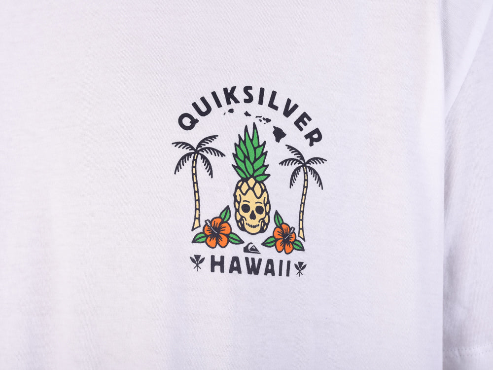 Polo para Hombre QUIKSILVER CLASSIC HI TROPICAL SKULL WBB0