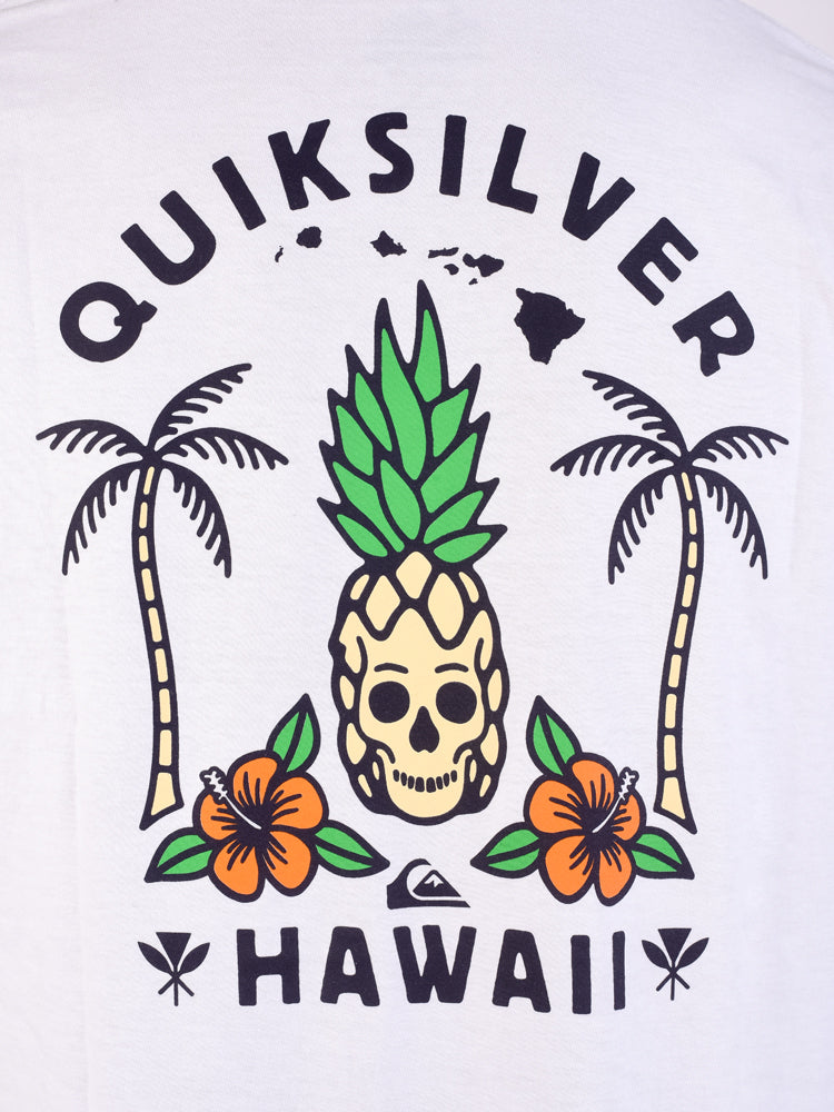 Polo para Hombre QUIKSILVER CLASSIC HI TROPICAL SKULL WBB0