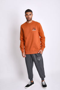 Polera para Hombre QUIKSILVER CREW NECK FIRST UP ADBE