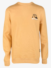 Cargar imagen en el visor de la galería, Polera para Hombre QUIKSILVER CREW NECK FIRST UP YHP0
