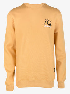 Polera para Hombre QUIKSILVER CREW NECK FIRST UP YHP0