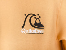 Cargar imagen en el visor de la galería, Polera para Hombre QUIKSILVER CREW NECK FIRST UP YHP0
