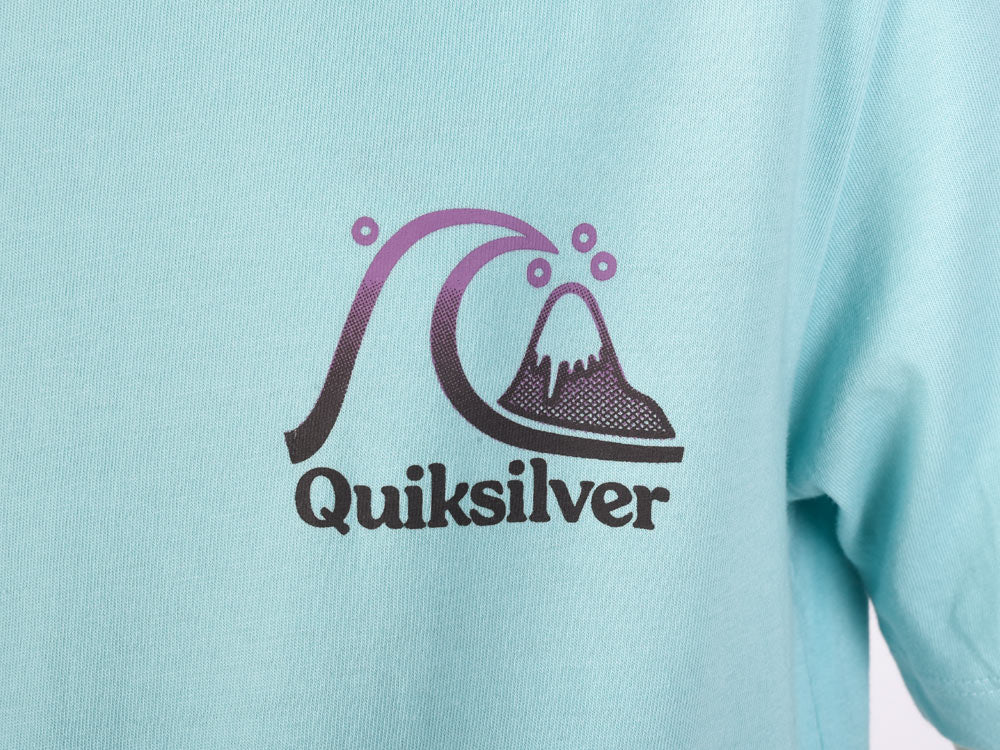 Polo para Niño QUIKSILVER CLASSIC GRADIENT GROOVE AGBLE 8 años a más