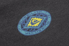 Cargar imagen en el visor de la galería, Polera para Niño QUIKSILVER CON ZIP NO CONTROL SS KTA0 8 años a más
