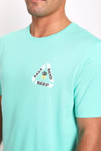 Cargar imagen en el visor de la galería, Polo para Hombre REEF CLASSIC REEF SCHMOE TEE ELCGR
